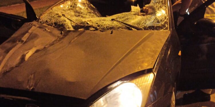 Foto: Guarda Municipal