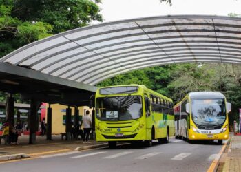 Pessoas com deficiência podem indicar local para desembarque no Transporte Coletivo