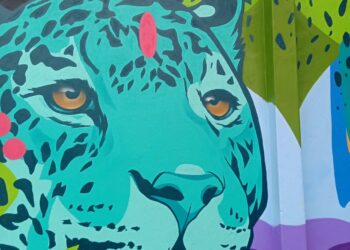 Foto: DAISY KAZIENKO