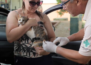 A partir dessa segunda-feira (20), vacinação contra a raiva inicia atendimento na região Norte