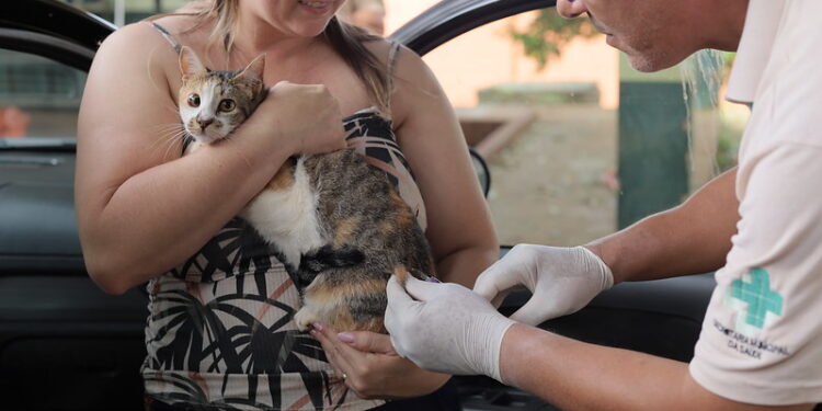 CCZ segue com a vacinação contra a raiva e divulga novos pontos para os atendimentos