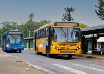Transporte coletivo de graça quer incentivar comércio nos bairros, neste sábado, 23