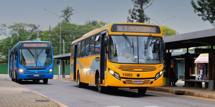 Transporte coletivo de graça quer incentivar comércio nos bairros, neste sábado, 23