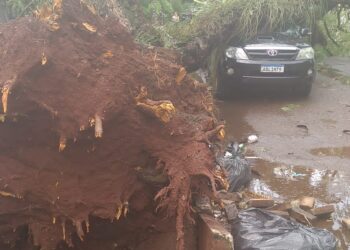 Chuva e ventos fortes provocam estragos em Foz do Iguaçu