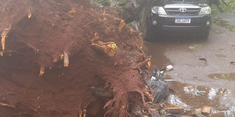 Chuva e ventos fortes provocam estragos em Foz do Iguaçu