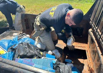 Contrabando e descaminho: PRF faz quatro apreensões em menos de cinco horas na BR 277