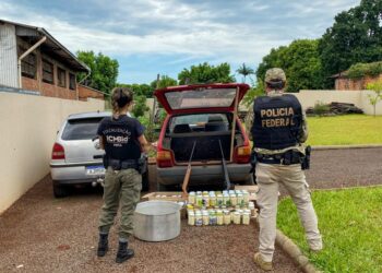 “Palmiteiro” é preso no Parque Nacional do Iguaçu