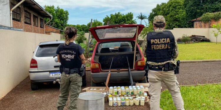 “Palmiteiro” é preso no Parque Nacional do Iguaçu