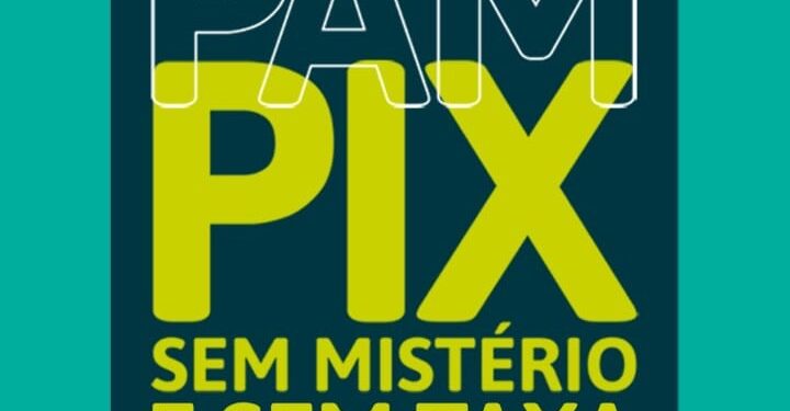 Sicoob garante PIX de graça a empresas para agilizar e expandir negócios