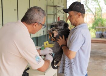 Vacinação contra raiva para cães e gatos chega ao centro, Jardim América e Parque Presidente