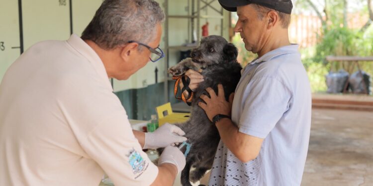 Vacinação contra raiva para cães e gatos chega ao centro, Jardim América e Parque Presidente