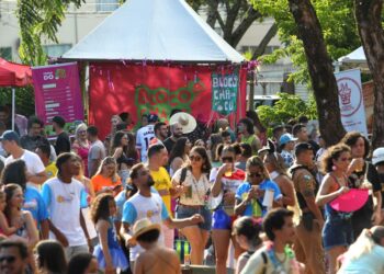 Carnafalls 2024: confira os blocos que vão participar da folia em Foz do Iguaçu