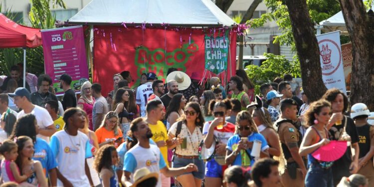 Carnafalls 2024: confira os blocos que vão participar da folia em Foz do Iguaçu