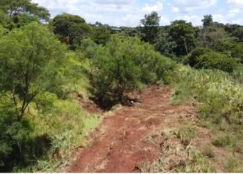 Começam as obras de prolongamento na Avenida João Paulo II em Foz