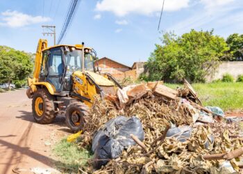 Confira onde será o primeiro mutirão contra a dengue em Foz do Iguaçu