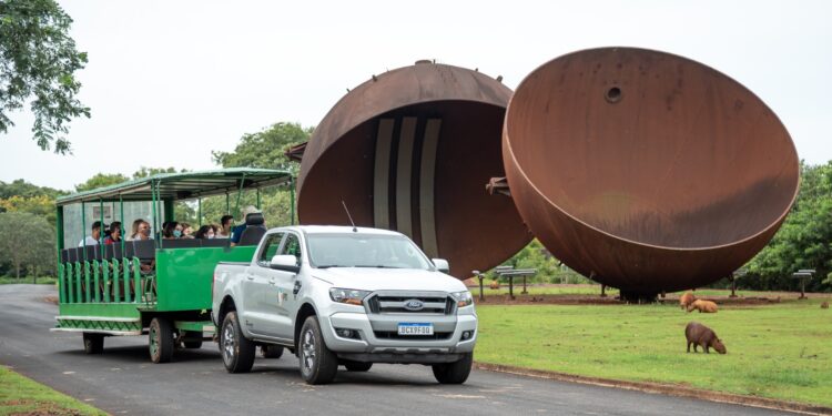Turista registra flagrante de onça-parda caçando filhote de capivara durante passeio no refúgio da Itaipu