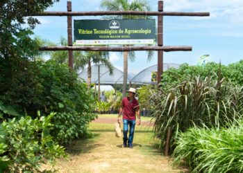 Com apoio de Itaipu, Vitrine Agroecológica do Show Rural completa 20 anos