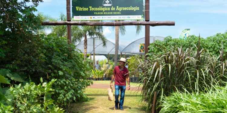 Com apoio de Itaipu, Vitrine Agroecológica do Show Rural completa 20 anos