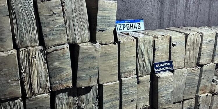 Após perseguição e troca de tiros, GM apreende mais de 1 tonelada de maconha