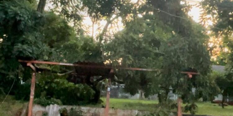 Temporal afeta abastecimento de água e luz em Foz do Iguaçu