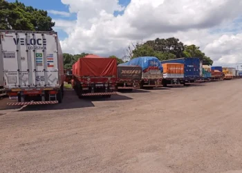 Ministro da Agricultura diz que vai participar de reunião com auditores fiscais agropecuários