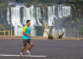 Meia Maratona das Cataratas, tradicional prova no Parque Nacional, será no dia 5 de maio de 2024
