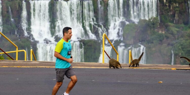 Meia Maratona das Cataratas, tradicional prova no Parque Nacional, será no dia 5 de maio de 2024