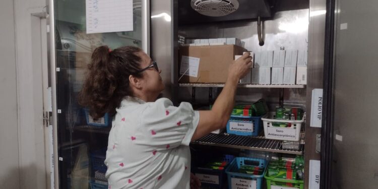 Vacinação contra dengue para crianças de 10 e 11 anos começa nessa quarta-feira, em Foz