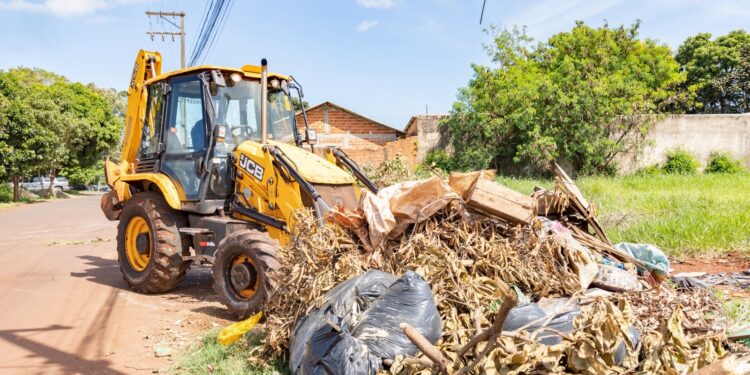 Alerta dengue: nesta segunda-feira, a prefeitura começa mais uma mobilização de combate ao mosquito transmissor da doença
