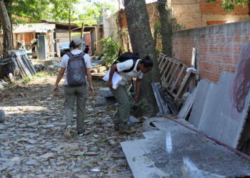Mobilização contra o mosquito da dengue está na região do Bubas