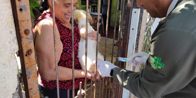 Equipes do CCZ  vão ampliar vacinação contra a raiva de casa em casa