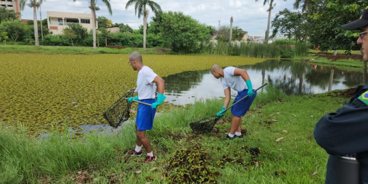 Lago do Parque Monjolo ganha limpeza em ação para lembrar o Dia Mundial da Água
