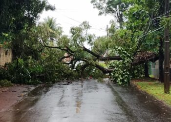 Mais de 4 mil domicílios ainda estão sem luz em Foz do Iguaçu, por causa do temporal