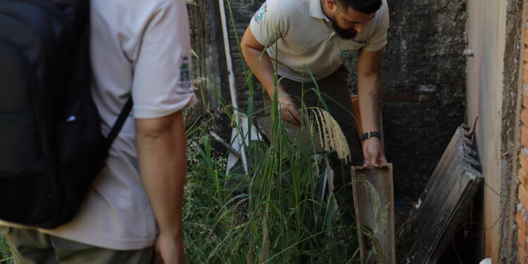 Aumento de casos faz prefeitura decretar situação de emergência por epidemia de dengue em Foz