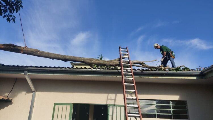 Mais de 4 mil domicílios ainda estão sem luz em Foz do Iguaçu, por causa do temporal