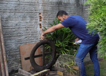 Mutirão contra a dengue vai para a região do Morumbi III a partir dessa terça-feira, 12