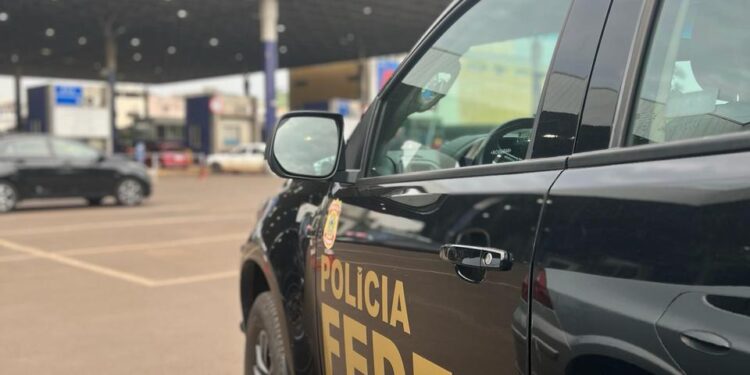 Pai e filha são presos acusados de imigração ilegal na fronteira