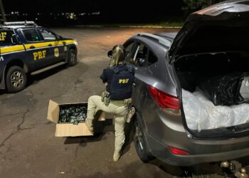 Brasileiro é preso por transportar 36 quilos de “skank” no porta-malas do carro