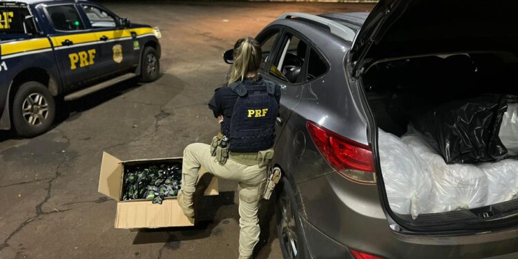 Brasileiro é preso por transportar 36 quilos de “skank” no porta-malas do carro