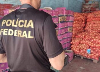 Duas pessoas são presas em estabelecimento comercial com 6 toneladas de alimentos da Argentina