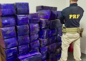 Após perseguição, PRF apreende quase 1 tonelada de maconha na BR-369, em Cambé