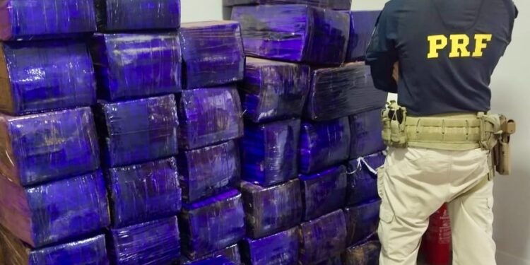 Após perseguição, PRF apreende quase 1 tonelada de maconha na BR-369, em Cambé