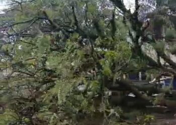 Chuva provoca alagamentos em vários pontos e queda de árvores em Foz do Iguaçu