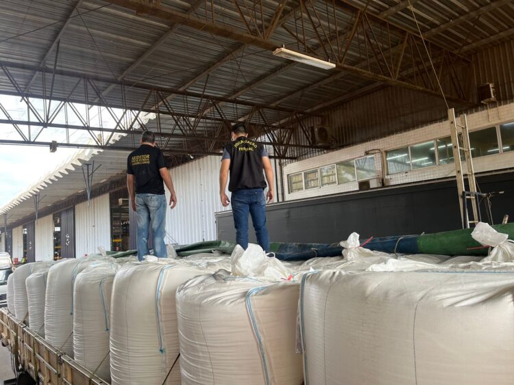 Ministério da Agricultura devolve 20 mil litros de azeite e 52 mil quilos de farinha de trigo para a Argentina