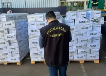 Após fiscalização, Ministério da Agricultura devolve 28 toneladas de uva-passa para a Argentina