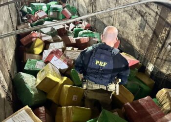 PRF apreende quase 7 toneladas de maconha da região Oeste, a maior registrada esse ano no Paraná