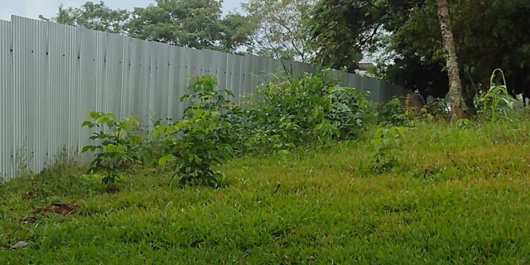 Prefeitura quer rescindir o contrato com a empresa que venceu a licitação para construir a Escola Lucia Marlene