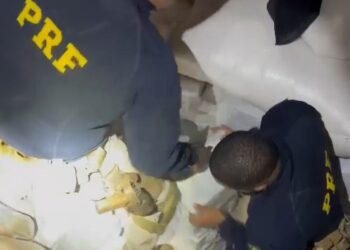 Em Guarapuava, PRF apreende mais de 1,8 tonelada de maconha no meio de uma carga de arroz