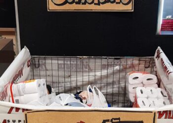 Doações do Dia da Bondade também vão para as vítimas das enchentes no Rio Grande do Sul