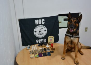 Polícia faz operação de combate ao tráfico de drogas e porte ilegal de armas em Foz